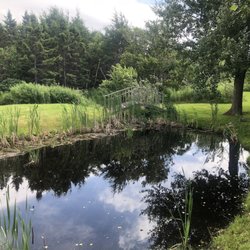 Freya and Thor’s Cafe - Muskrat pond