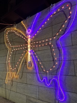 Civic Garden by null