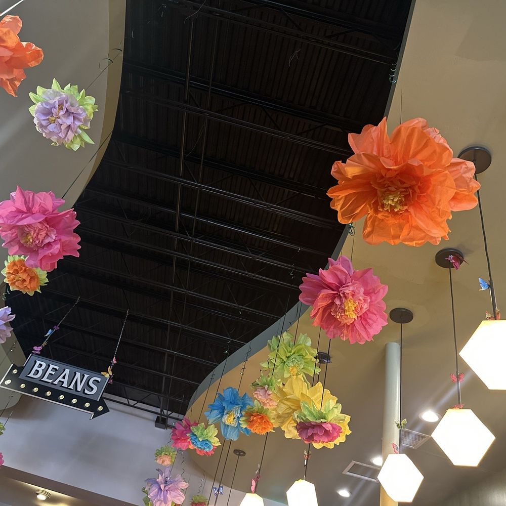 The Coffee Tree Roasters - Beautiful Spring tissue paper flower decoration - Coffee & Tea Near Me - Pittsburgh, Pennsylvania The Coffee Tree Roasters - Beautiful Spring tissue paper flower decoration - Coffee & Tea Near Me - Pittsburgh, Pennsylvania