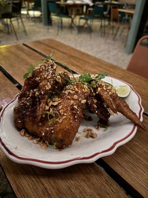 American Beauty by null