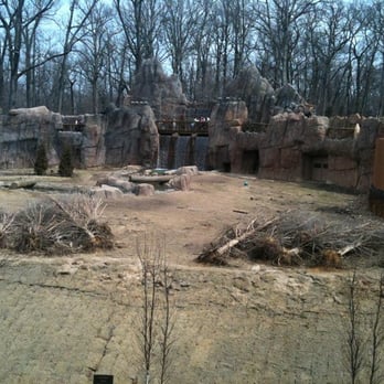 Memphis Zoo - From Balcony at Teton Trek - Grizzlies - Zoos Near Me - Memphis, Tennessee Memphis Zoo - From Balcony at Teton Trek - Grizzlies - Zoos Near Me - Memphis, Tennessee
