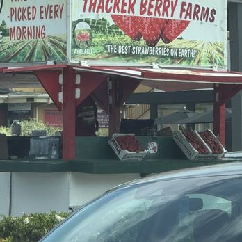 Thacker Berry Farms - Atlantic - Cute lil stand on the corner - Farmers Market Near Me - Long Beach, California Thacker Berry Farms - Atlantic - Cute lil stand on the corner - Farmers Market Near Me - Long Beach, California