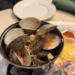 McGarvey's Saloon & Oyster Bar