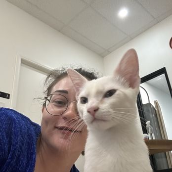 Fluffy Tail Cafe - Me and a kitty - Coffee & Tea Near Me - Tustin, California Fluffy Tail Cafe - Me and a kitty - Coffee & Tea Near Me - Tustin, California