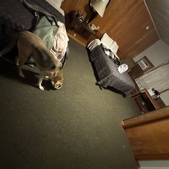 Home Motel - dog, 2 beds, clean - Hotels Near Me - Salem, South Dakota Home Motel - dog, 2 beds, clean - Hotels Near Me - Salem, South Dakota