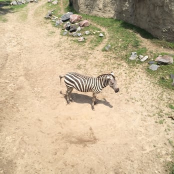 Indianapolis Zoo - Zoos Near Me - Indianapolis, Indiana