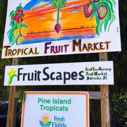 FruitScapes