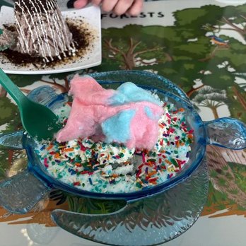 Vampire Penguin - Kids turtle bowl and adult shaved ice dessert. - Shaved Snow Near Me - Ellenton, Florida
