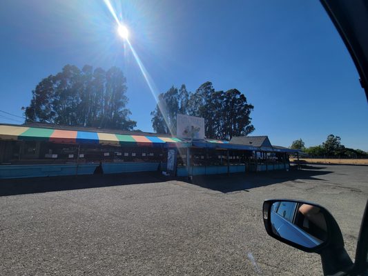 Sonoma Valley Fruit Basket by null