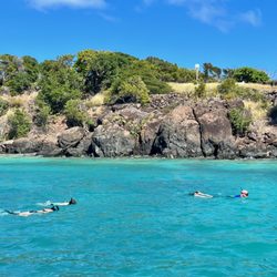 Navego - Snorkeling in Puerto Rico alongside a beautiful seascape.