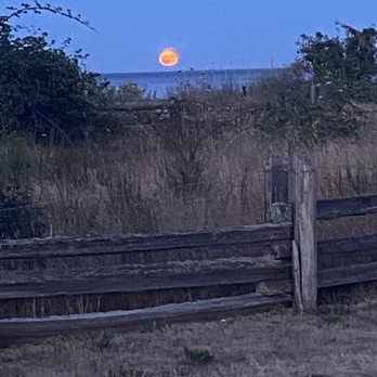 Island View Beach Regional Campground - Moon view from campsite - Campgrounds Near Me - Saanichton, British Columbia Island View Beach Regional Campground - Moon view from campsite - Campgrounds Near Me - Saanichton, British Columbia