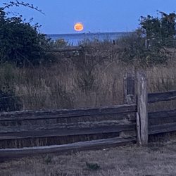 Island View Beach Regional Campground - Moon view from campsite