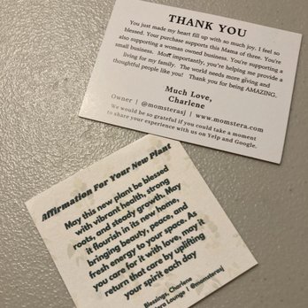 Momstera Lounge - Message and affirmation with each purchase - Nurseries & Gardening Near Me - Campbell, California Momstera Lounge - Message and affirmation with each purchase - Nurseries & Gardening Near Me - Campbell, California