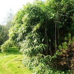 Ferienhaus im Ammerland - Privates Foto