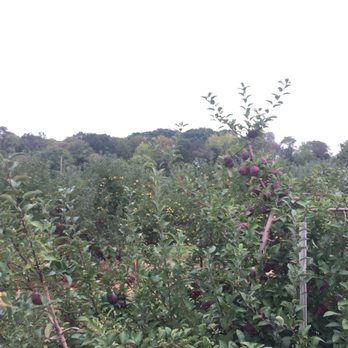 Eastmont Orchards - Pick Your Own Farms Near Me - Colts Neck, New Jersey
