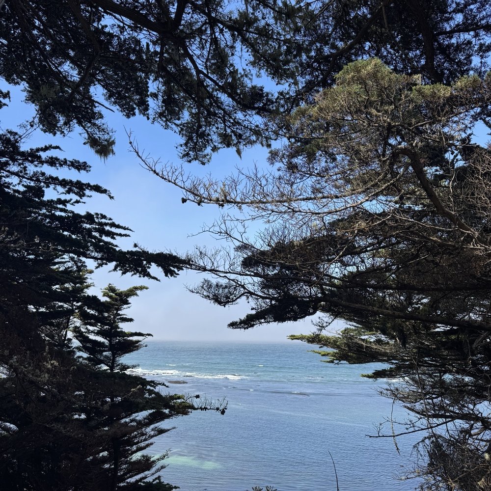 Fitzgerald Marine Reserve - Parks Near Me - Moss Beach, California