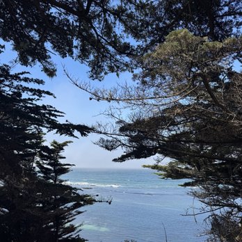 Fitzgerald Marine Reserve - Parks Near Me - Moss Beach, California