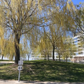 HTO Park - Trees in HTO Park - Parks Near Me - Toronto, Ontario HTO Park - Trees in HTO Park - Parks Near Me - Toronto, Ontario