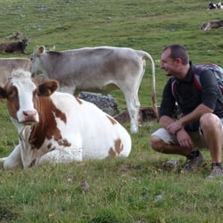 Malga Alpisella