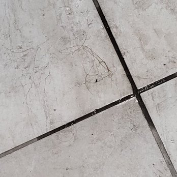 Planet Fitness - Hair and shoe marks on the floor - Gyms Near Me - Myrtle Beach, South Carolina Planet Fitness - Hair and shoe marks on the floor - Gyms Near Me - Myrtle Beach, South Carolina