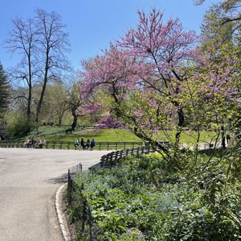 Central Park Conservancy - Parks Near Me - New York, New York Central Park Conservancy - Parks Near Me - New York, New York
