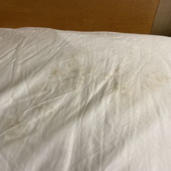 Hilton Santa Clara - Hotels Near Me - Santa Clara, California