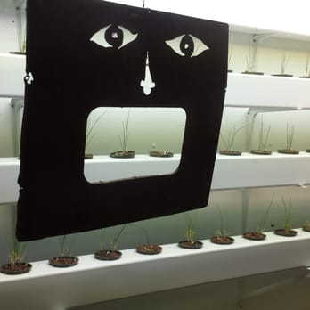 Anton's - Organic grown. - Steakhouses Near Me - Kansas City, Missouri