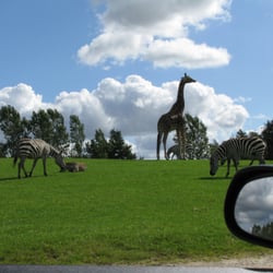 Restaurant ZoOasen i GIVSKUD ZOO