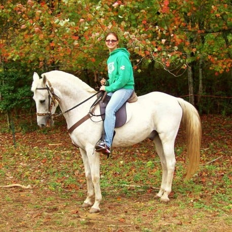 Equus Mountain Meadow Riding Stable Logo