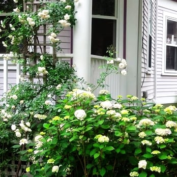 Gardens By Ruth - the front of a house - Gardeners Near Me Gardens By Ruth - the front of a house - Gardeners Near Me