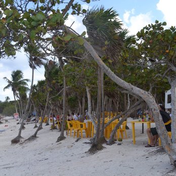 Chamicos - Restaurant tables - Seafood Near Me - Tulum, ROO