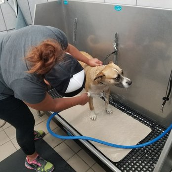 Pet Supplies Plus Upland - Perfect bathing station! - Pet Stores Near Me - Upland, California