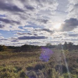 East Branch Forest Preserve Dog Off-Leash Area