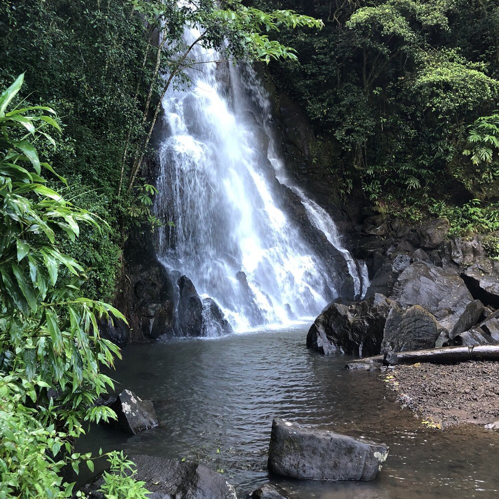 Lulumahu Falls - Hiking Near Me - Honolulu, Hawaii Lulumahu Falls - Hiking Near Me - Honolulu, Hawaii