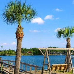Nautical Point Rv Park - Palm trees and wooden swing overlooking the bay at Pitts Bayou in Panama City Florida