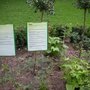 Photo of Bibelgarten