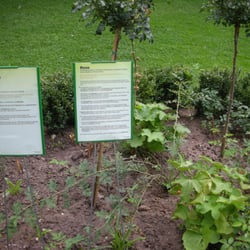 Bibelgarten