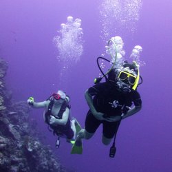 American Dive Zone - Fun in Bonaire