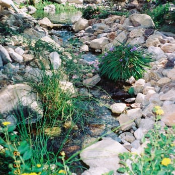 Saber Landscapes - Natural Stream. - Landscaping Near Me - Tucson, Arizona Saber Landscapes - Natural Stream. - Landscaping Near Me - Tucson, Arizona