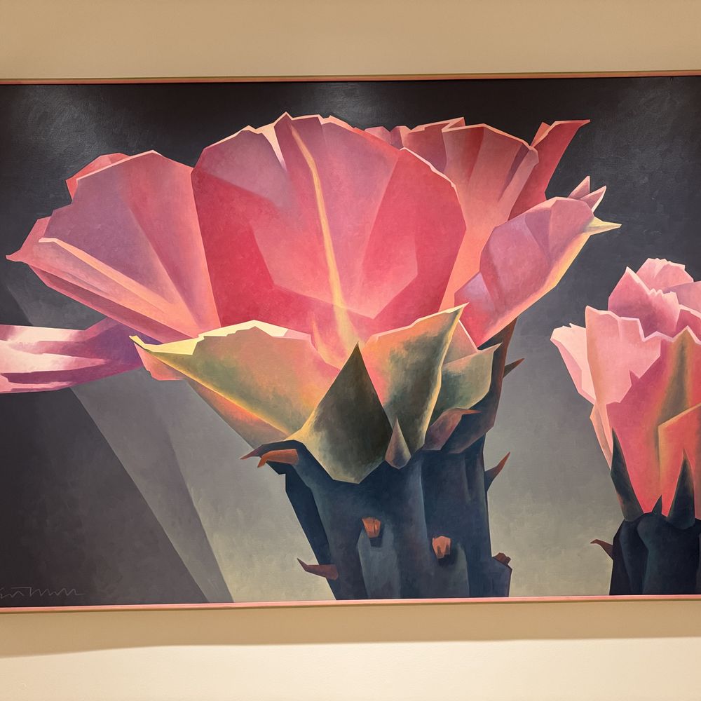 Phoenix Art Museum - Art Museums Near Me - Phoenix, Arizona
