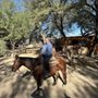 Photo of Houston's Horseback Riding