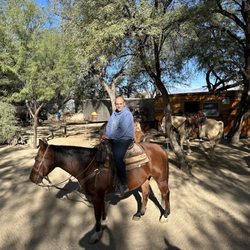 Houston's Horseback Riding