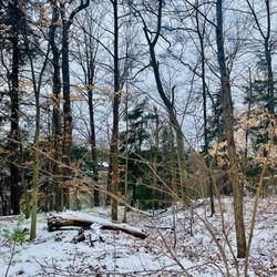 Springbank Park