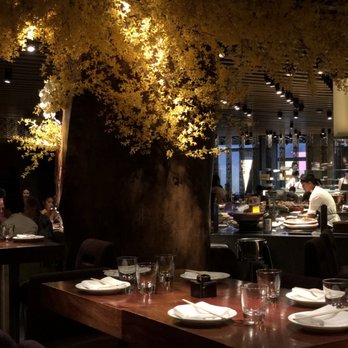 Zuma - Dining area with tree in middle - Japanese Near Me - Las Vegas, Nevada Zuma - Dining area with tree in middle - Japanese Near Me - Las Vegas, Nevada