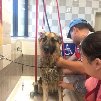 Pet Food Express - Always friendly employees and my dog hated showering until he met this place he even begs every week to go - Pet Stores Near Me - Oxnard, California