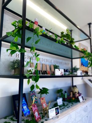 The Apothecarium Cannabis Dispensary Capitola by null