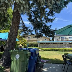 Chabot Swim Club
