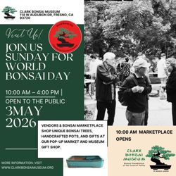 Clark Bonsai Museum - This Sunday, may 3rd, the Clark Bonsai Museum has a great celebration from 10 am to 4 pm celebrating world bonsai day.