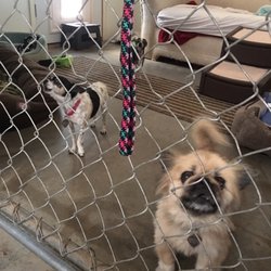 Forever Loved Pet Sanctuary