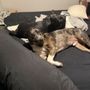 Photo of Wiggle Buttz